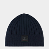 Шапка мужcкая BOGNER FIRE+ICE, 